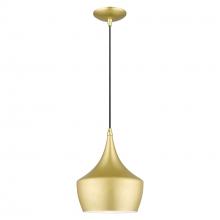  41186-33 - 1 Light Soft Gold Pendant with Polished Brass Finish Accents