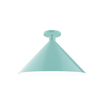 Montclair Light Works FMDX467-48 - 18" Chase Flush Mount, Sea Green