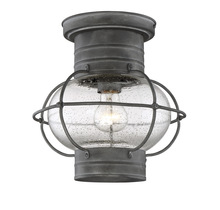  5-224-88 - Enfield 1-Light Outdoor Ceiling Light in Oxidized Black