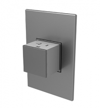 Legrand ARPTR201GM2 - Adorne 20A One-Gang Pop-Out Outlet - Magnesium