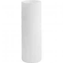  P860061-029 - Elara Collection Frosted Glass Accessory Cylindrical Shade