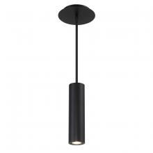  PD-W36610-BK - CALIBER Outdoor Pendant Light