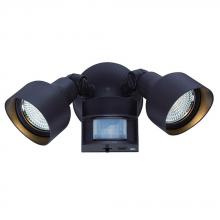 Acclaim Lighting LFL2ABZM - Motion Activated LED Floodlights  2-Light  Bronze Light Fixture