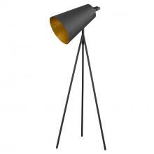 Acclaim Lighting TF70036BK - Faza