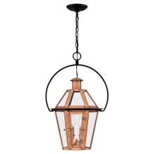  BURD1916AC - Burdett Outdoor Lantern