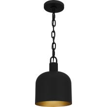  QPP6206MBK - Quoizel Piccolo Pendant