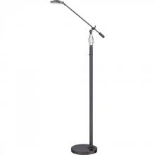 Quoizel Q1853FIB - Quoizel Portable Lamp Floor Lamp