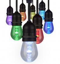 Satco Products Inc. S11290 - 24Ft; 12-S14 Lamp; LED String Light; Starfish IOT; RGBW