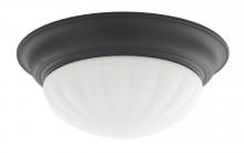  10310-46 - Recesso-Tradizionale Recessed Light Shade