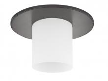  10532-46 - Recesso-Hurricane Recessed Light Shade