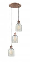  113B-3P-AC-G2511 - Caledonia - 3 Light - 12 inch - Antique Copper - Cord Hung - Multi Pendant