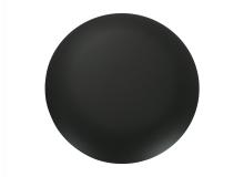 ERA BLANKING PLATE