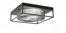FLUSH MOUNTS