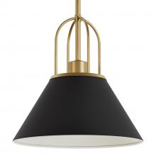  13163 - Hunter Carrington Isle Matte Black and Luxe Gold 1 Light Pendant Ceiling Light Fixture