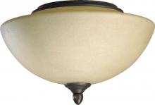 Quorum 2388-9144 - 2LT AMBER SCAVO KIT - TS