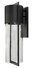 Hinkley 1325BK - Shelter Large Wall Lantern - Black