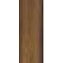 Fanimation DRW18TS - 18" Wet Location Downrod: Tortoise Shell