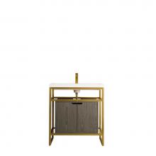 James Martin Furniture C105-V31.5-RGD-SC-AGR-WG - Boston 31.5'' Stainless Steel Sink Console, Radiant Gold w/ Ash Gray Storage Cabinet, Wh